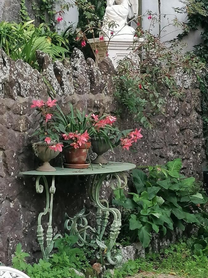 Osborne Homestay